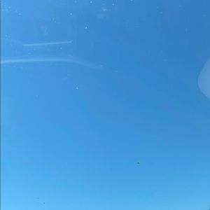 Meet your Posher, Laila